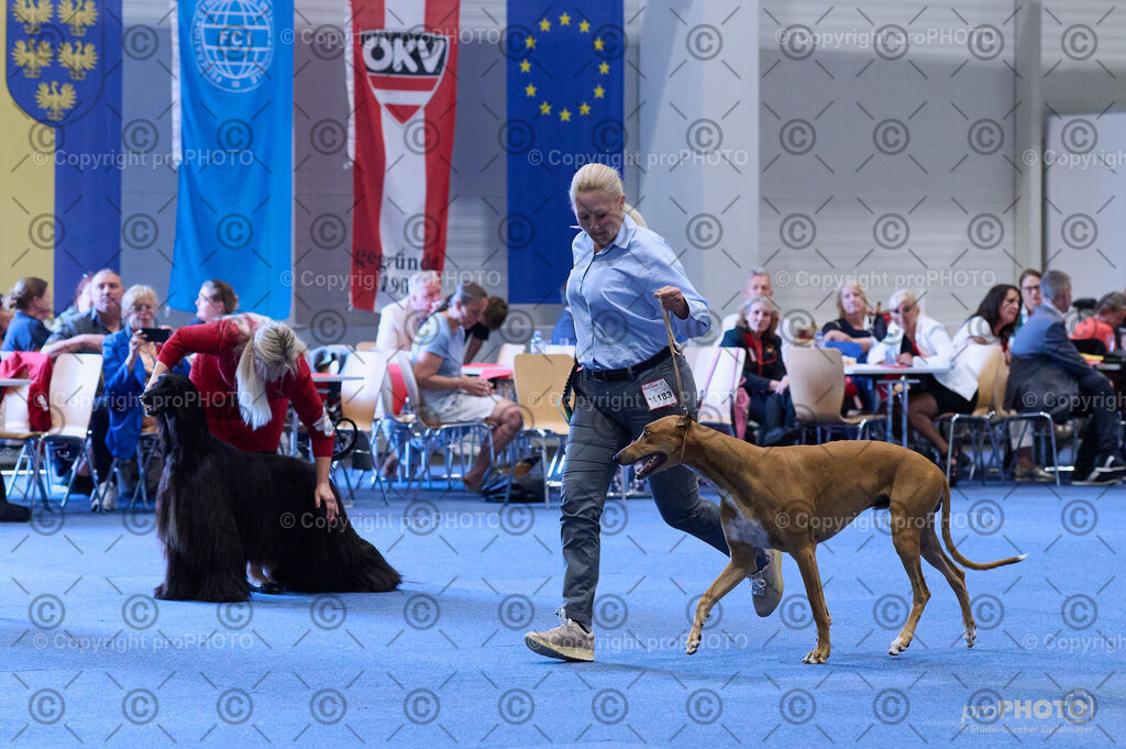 202406_ÖKV-IHA-Tulln24_DSC_4285 | proPHOTO - Realisiert mit Pictrs.com