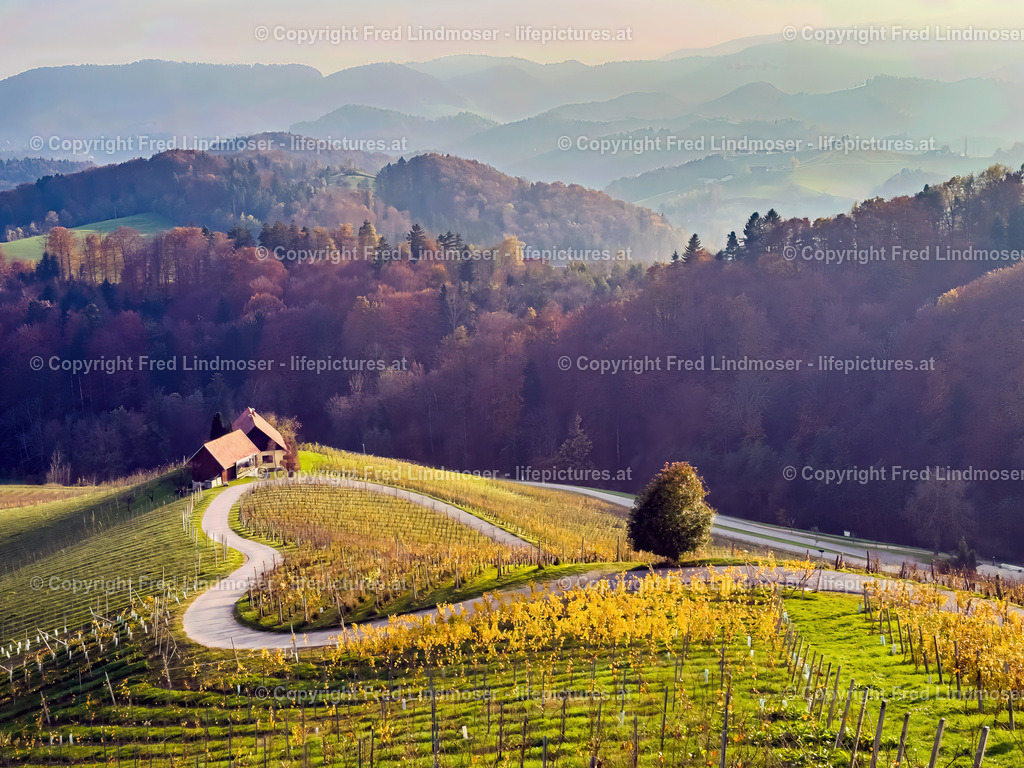 Herzerlstraße Slowenien Suedsteiermark November 2024 _ Fred Lindmoser 0283 | Fotos und Fotoprodukte - Realisiert mit Pictrs.com