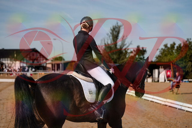 2026_10_03_Siefer-Hof_113302_Z63_19504206 | Professionelle Reitsport-, Turnier- und Eventfotografie von Robert Broda. Galerien mit ausgewählten und bearbeiteten Bildern direkt online ansehen und bestellen.