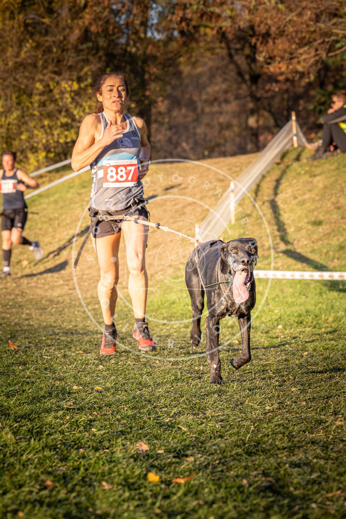 CaniXpix_0L8A1228 | Hundefotografie, Tierfotograf, Pfotenfotografie, Fotoshooting Hund, Hunde Portrait, Hundesport, Hundeportraits, Heideshooting, Hunde, Sportfotograf, Hundefotograf, Turnierhundsport, THS,  - Realisiert mit Pictrs.com