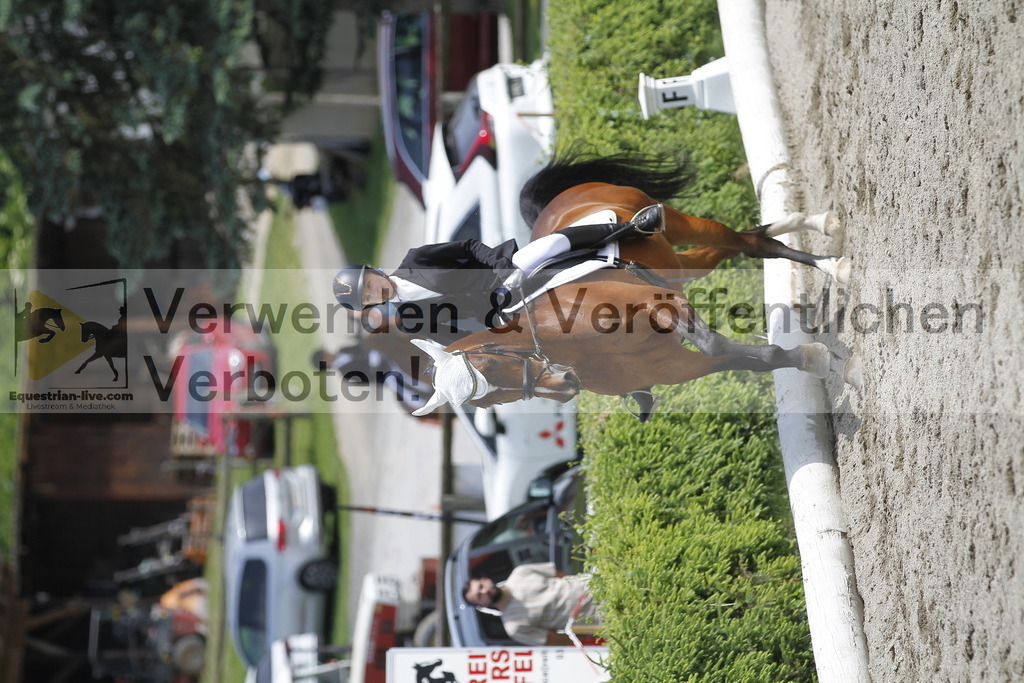 _MG_8624 | equestrian-live-com