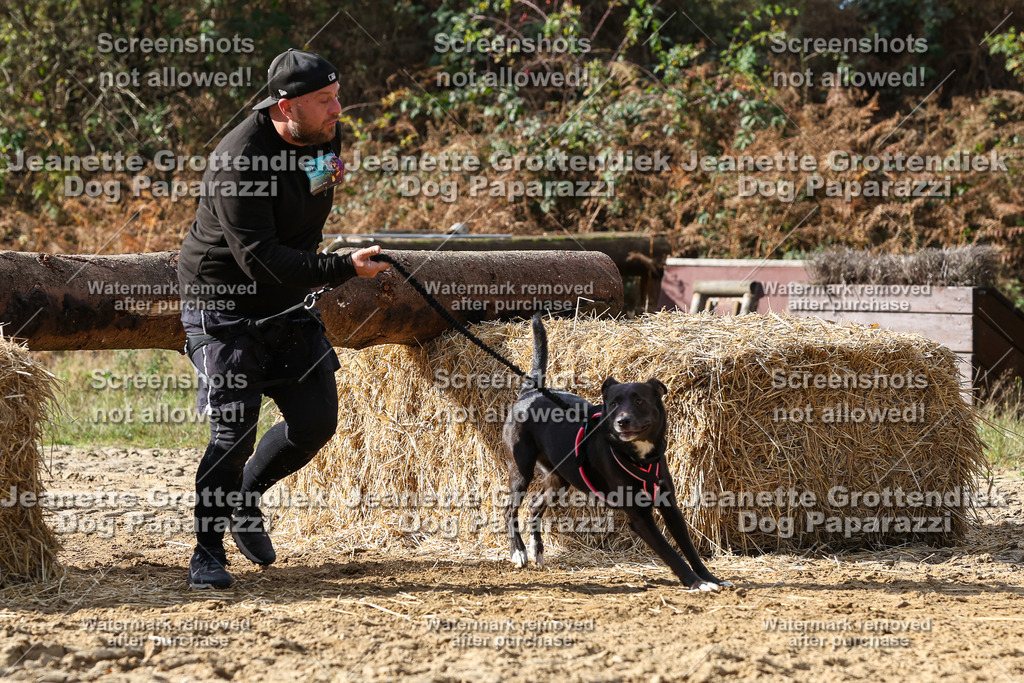 Dog Paparazzi - Strongdog 10-25-5149 | Dog Paparazzi Jeanette Grottendiek Fotografie & Videografie - Realisiert mit Pictrs.com