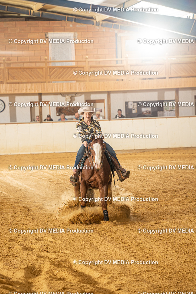 MIT00502 | dv-media-shop - Realisiert mit Pictrs.com