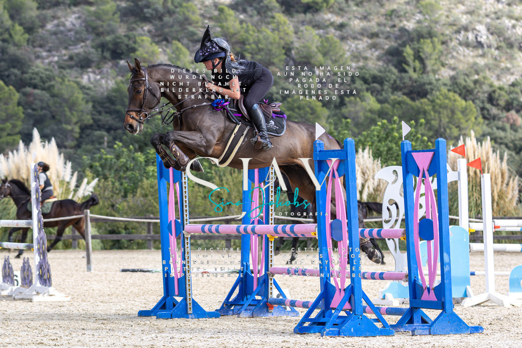 IMG_3283 | s-jay-photography - Realisiert mit Pictrs.com