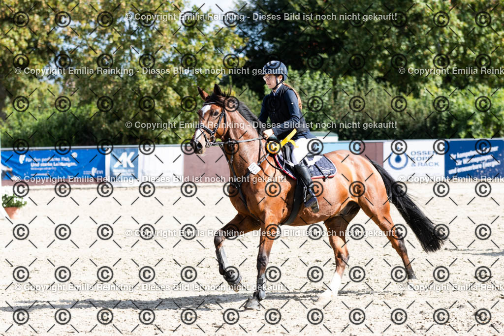 CL5A1755 | Emilia Reinking Fotografie - Realisiert mit Pictrs.com