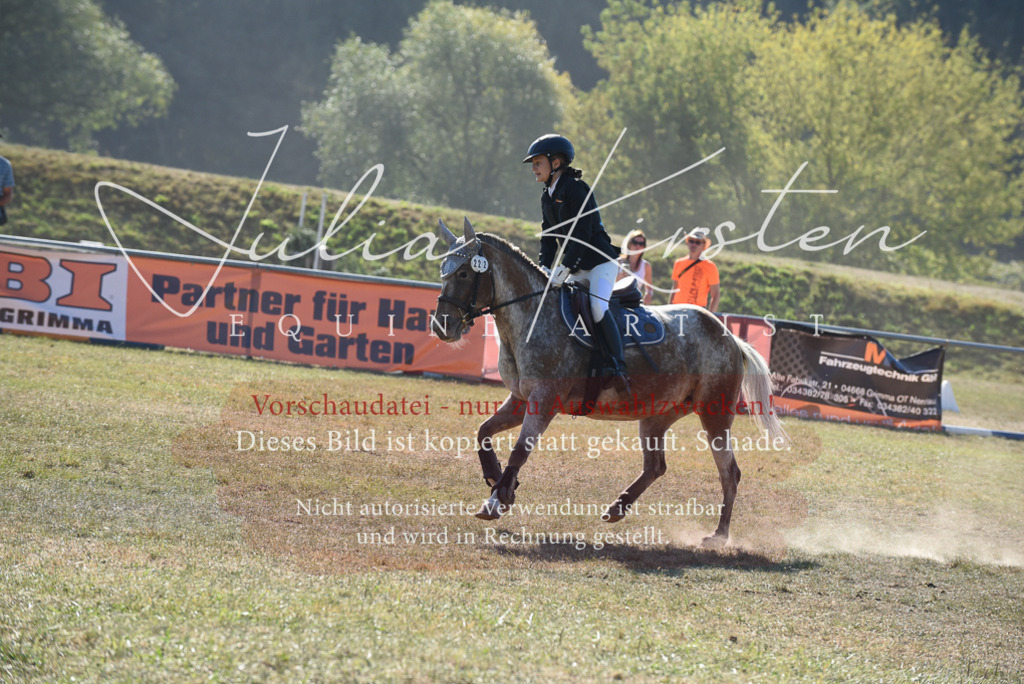 DSC_5896 | Pferde- und Turnierfotografie in Westsachsen. Pferdeportraits, Auftragszeichnungen und intuitive Kunst.