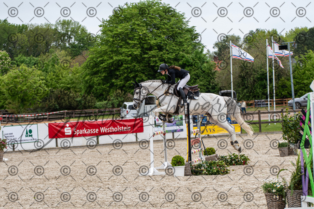 KPT_8535 | andre_photographic