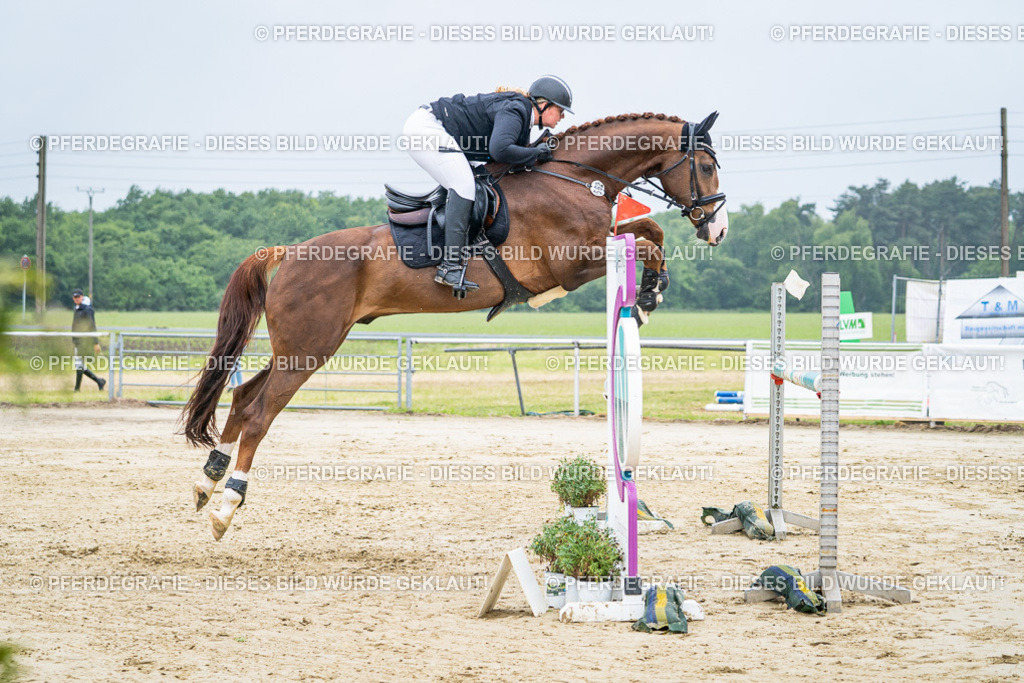 DSC01661 | Pferdegrafie