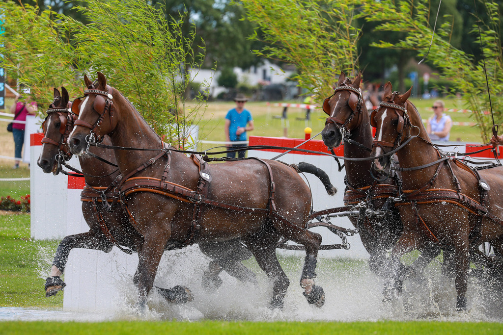 21_KoosdeRondeNED_05 | Bildergalerie von Sport-Ereignissen aber auch von weiteren spannenden Dingen - nicht nur vom Niederrhein. In Anlehnung an den bekannten Spruch von Hanns Dieter Hüsch heißt das Motto: "Niederrhein ist überall".  - Realisiert mit Pictrs.com