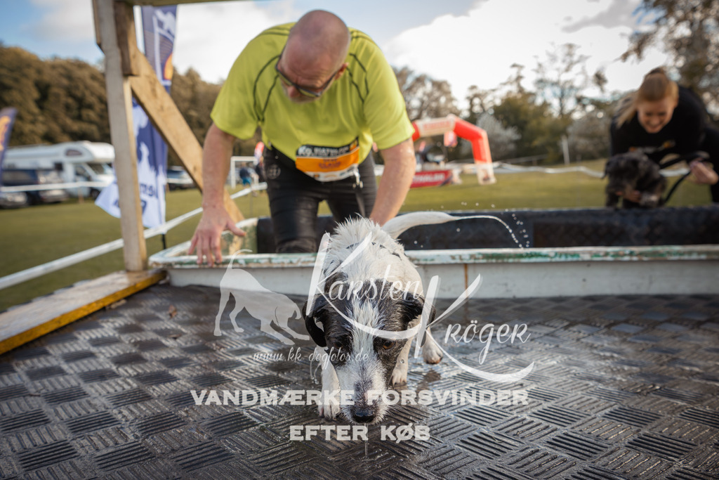 1321_ZZ90281-2 | kk-dogfotos