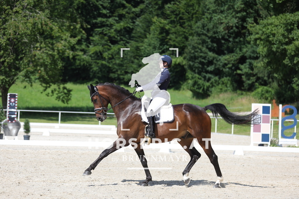 0P6A5191 | Willkommen bei Brunnmayr - Design & Fotografie – Ihrem Spezialisten für Reitturniere und Pferdeveranstaltungen in Oberösterreich, Salzburg und Bayern! Seit über 17 Jahren sind wir leidenschaftlich dabei.