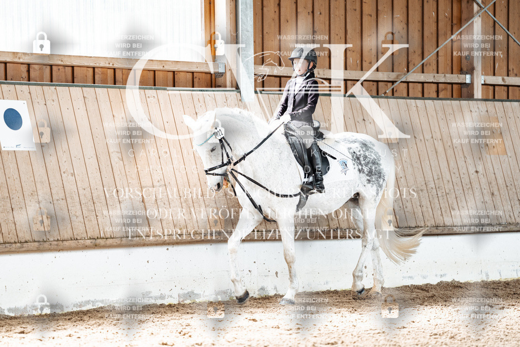 CK900431 | Turnierfotografie Pferdefotografie Trier Rheinland-Pfalz Pferdesport Reitsport Tierfotografie Sportfotografie Pferdevideo Pferdevideografie Equestrianvideography equestrianphotography  - Realisiert mit Pictrs.com