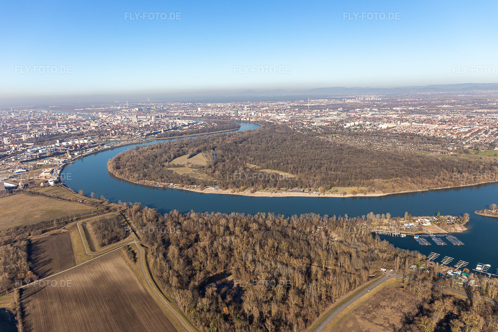 Luftbild: Naturschutzgebiet Reißinsel im Ortsteil Niederfeld in Mannheim im Bundesland Baden-Württemberg in Deutschland. Foto: IMG_125462.jpg vom 21.02.2021 durch Werner Riehm/FLY-FOTO.de