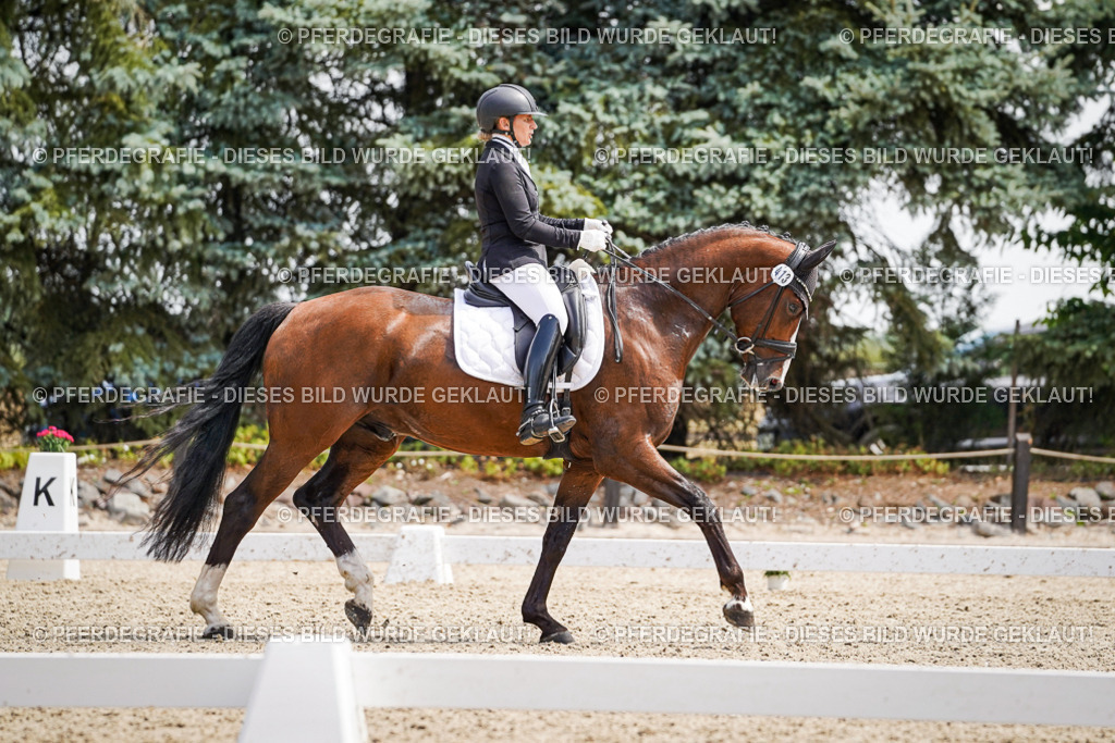 DSC00410 | Pferdegrafie