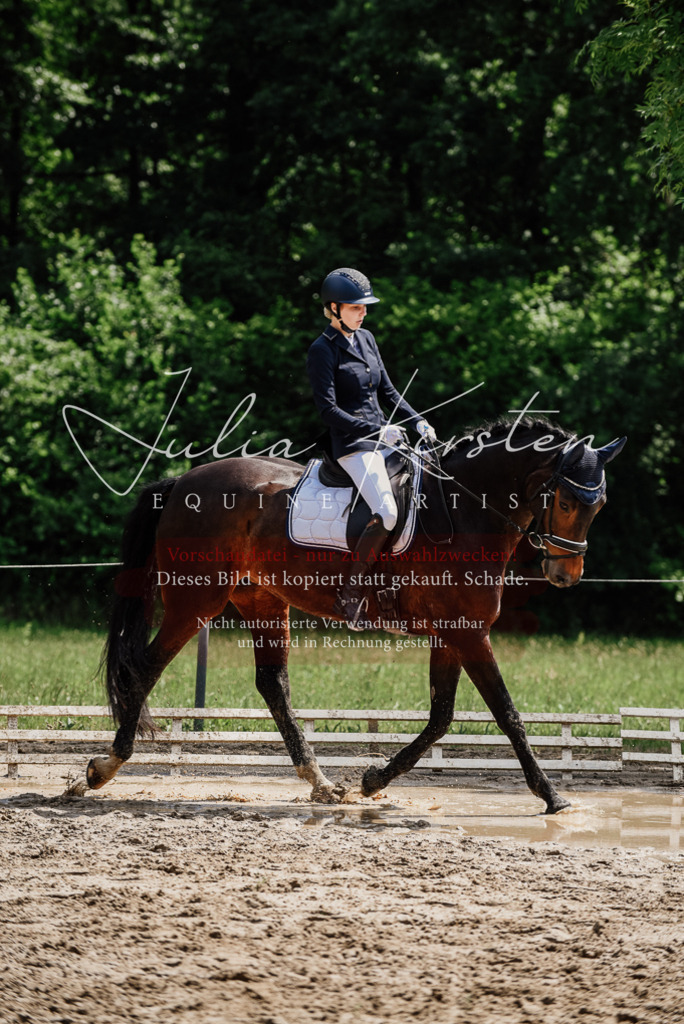 DSC_1432 | Pferde- und Turnierfotografie in Westsachsen. Pferdeportraits, Auftragszeichnungen und intuitive Kunst.