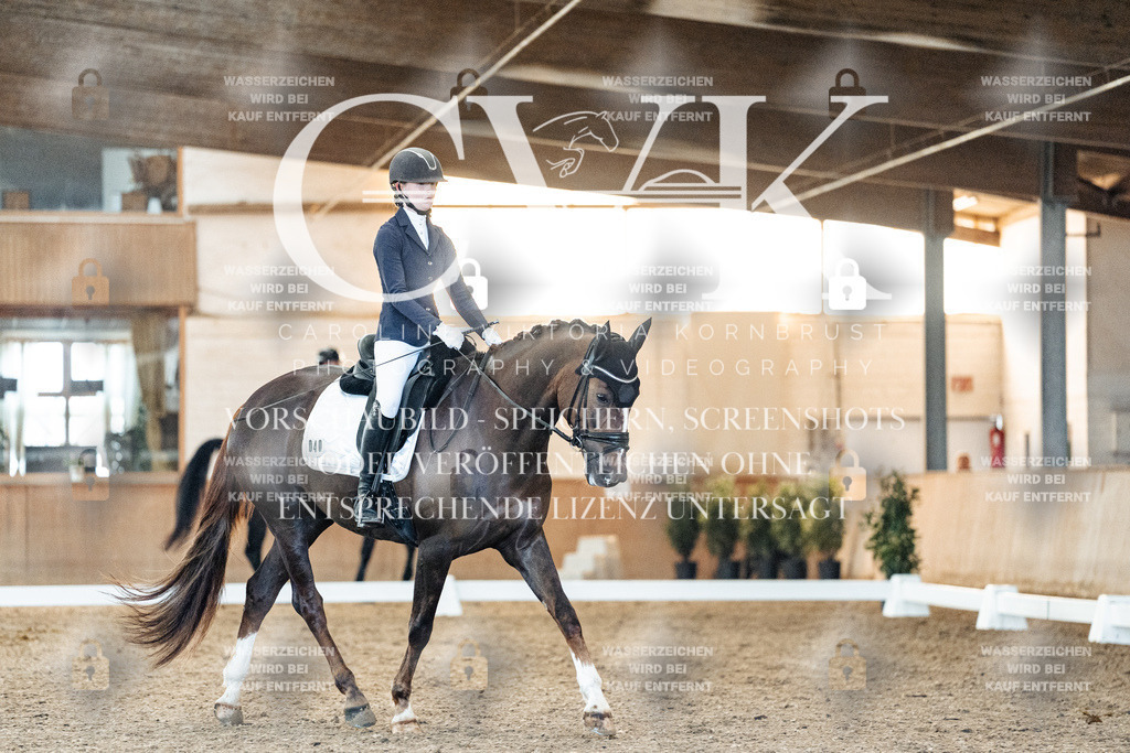 CK906812 | Turnierfotografie Pferdefotografie Trier Rheinland-Pfalz Pferdesport Reitsport Tierfotografie Sportfotografie Pferdevideo Pferdevideografie Equestrianvideography equestrianphotography  - Realisiert mit Pictrs.com