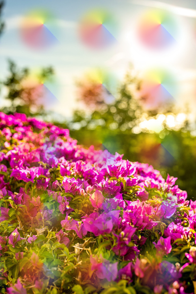 1M5A8838 | FineArtPrint, Hahnemühle, FeeGalerie, Fee Galerie, Fotokunst, Fotografie, Canonphotography, Bergfoto, Matterhorn, Rimpfischhorn, Allalinhorn, Saas-Fee, Wallis, Valais, Switzerland, Bergfotografie