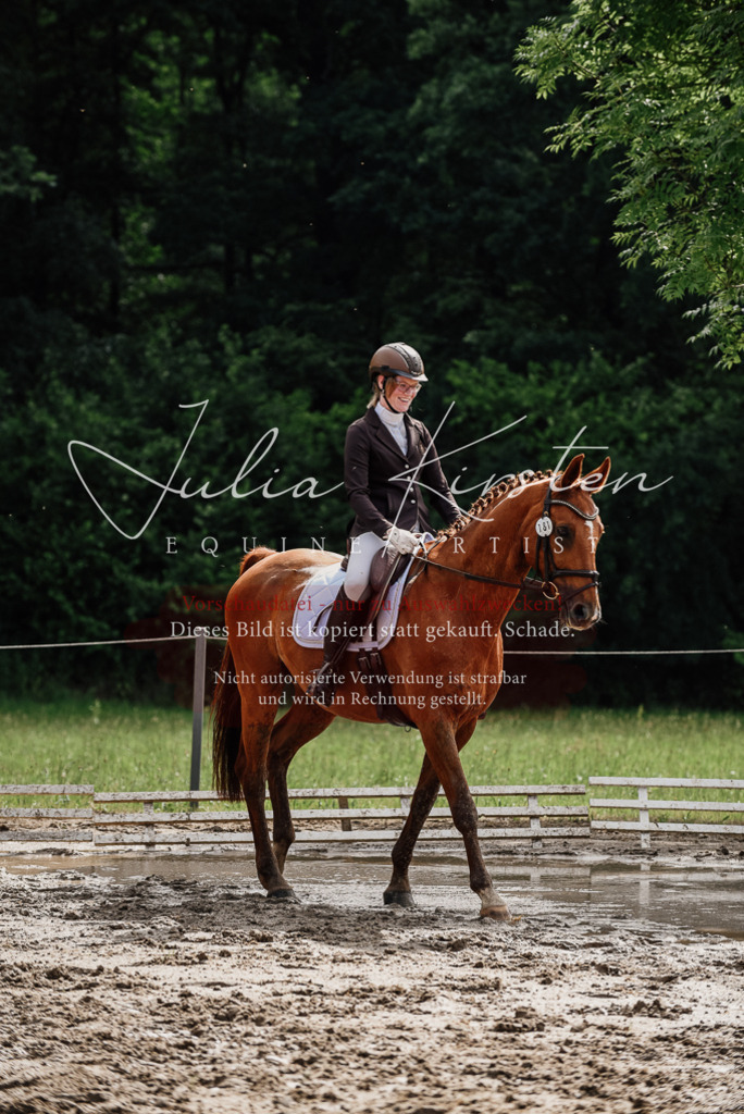 DSC_9653 | Pferde- und Turnierfotografie in Westsachsen. Pferdeportraits, Auftragszeichnungen und intuitive Kunst.