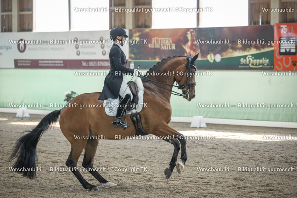 _D5A9542 | Emotionale Pferde- & People-Fotografie rund um Heidelberg, Leimen & Umgebung. Natürliche Fotos von Pferd, Mensch & Familie. Jetzt Termin sichern!
