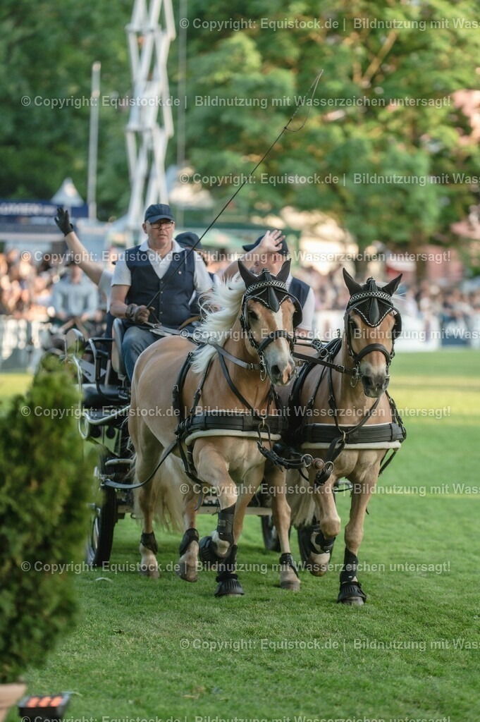 20230526_Pferdenacht_0159 | equistock