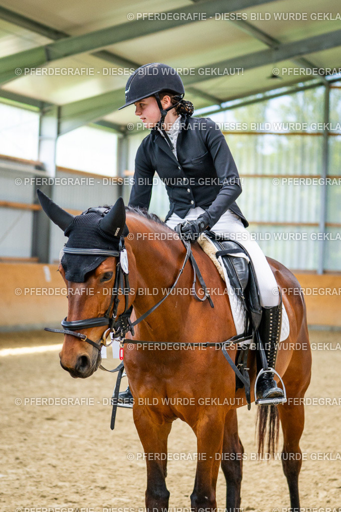 DSC03841 | Pferdegrafie