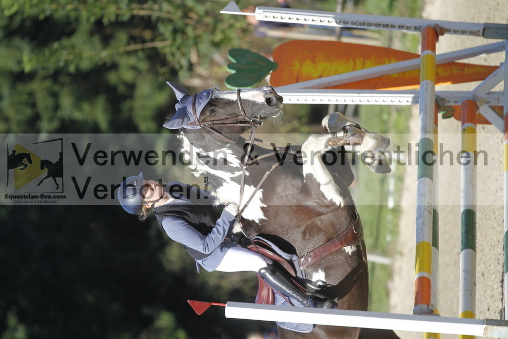 _MG_3957 | equestrian-live-com