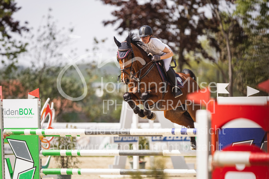 260502_Spenge_9_Youngster-M2-922 | Deine schönsten Turniermomente als professionelle Fotos! Entdecke hochwertige Pferdesport-Fotografie im Online-Shop. Jetzt Fotos finden & bestellen!
