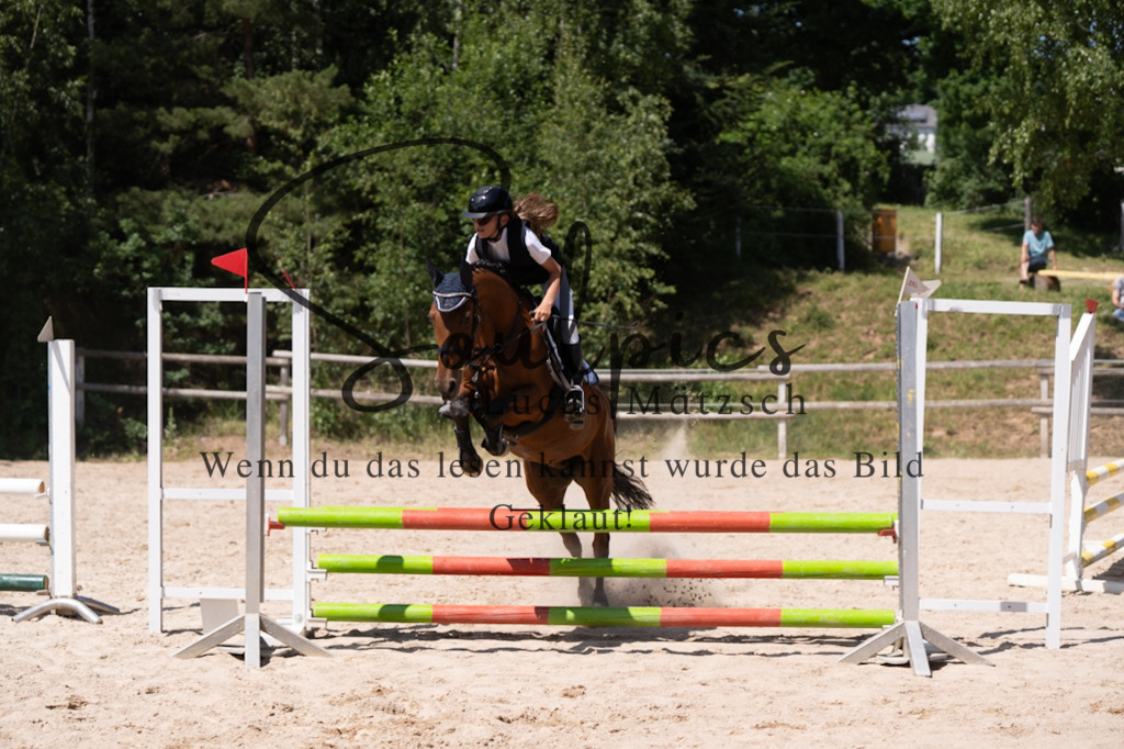 A7V08559 | Pferdefotograf