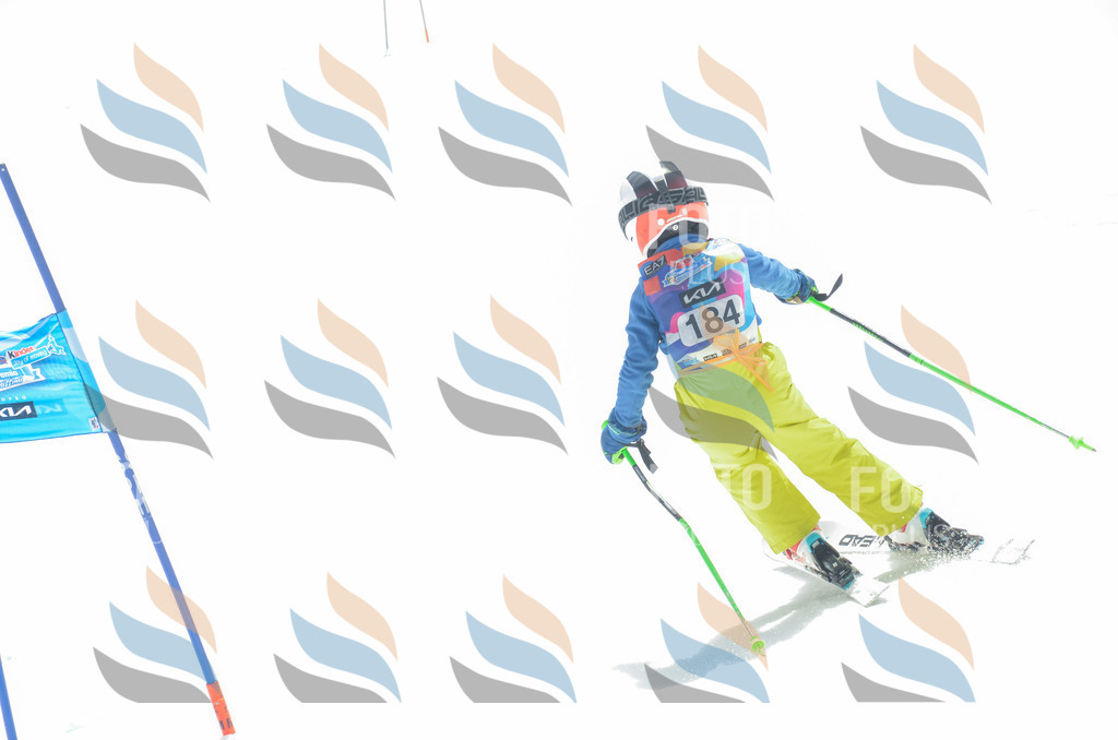 _ELE6724 | holidayphoto