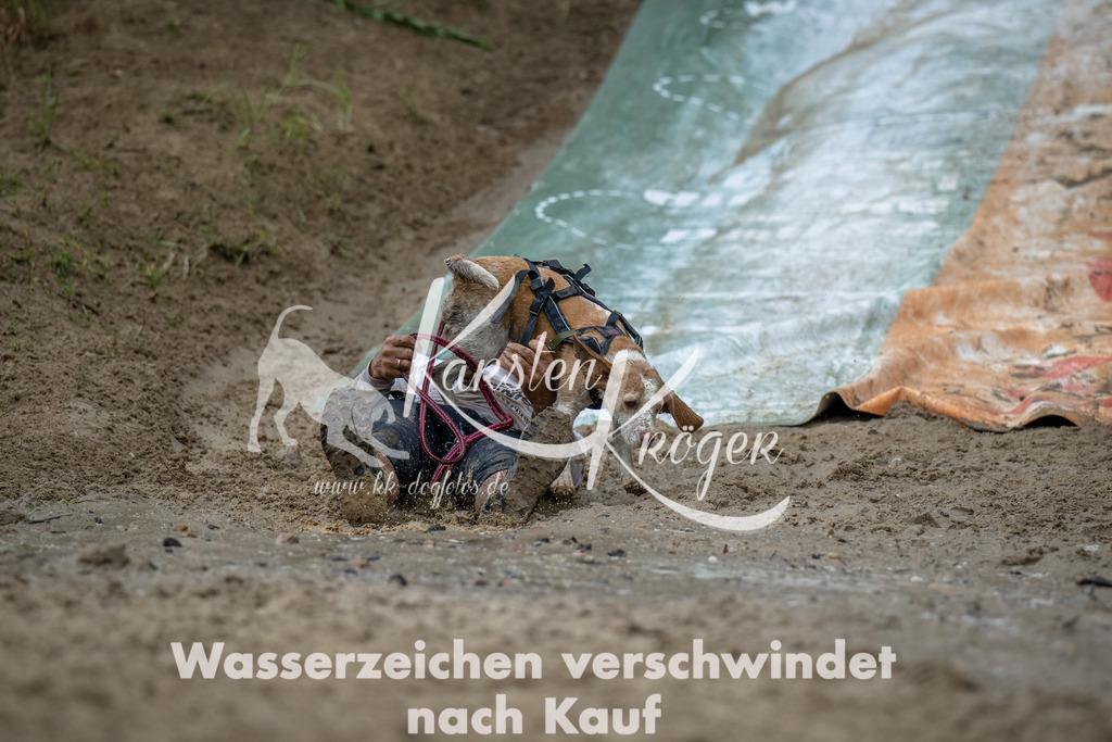 1244_ZZ94353-Bearbeitet | kk-dogfotos