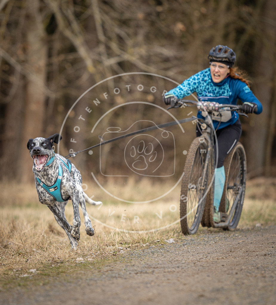 DV3A4649 | Hundefotografie, Tierfotograf, Pfotenfotografie, Fotoshooting Hund, Hunde Portrait, Hundesport, Hundeportraits, Heideshooting, Hunde, Sportfotograf, Hundefotograf, Turnierhundsport, THS,  - Realisiert mit Pictrs.com