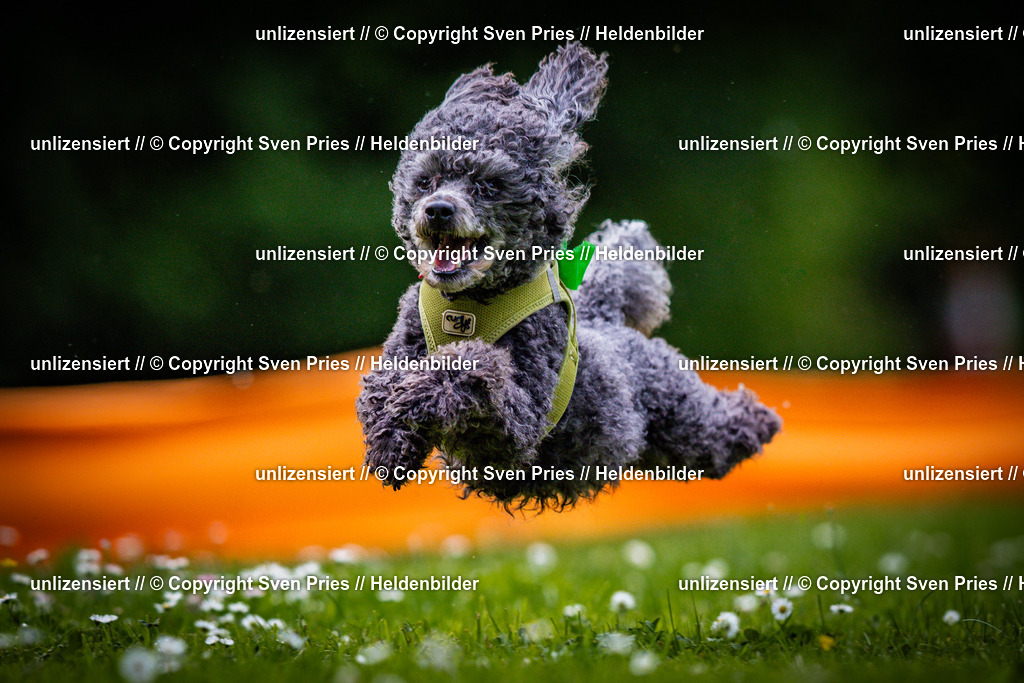 Sven Pries | 2025-05-29 - Pudelrennen KA-Durlach - Realisiert mit Pictrs.com