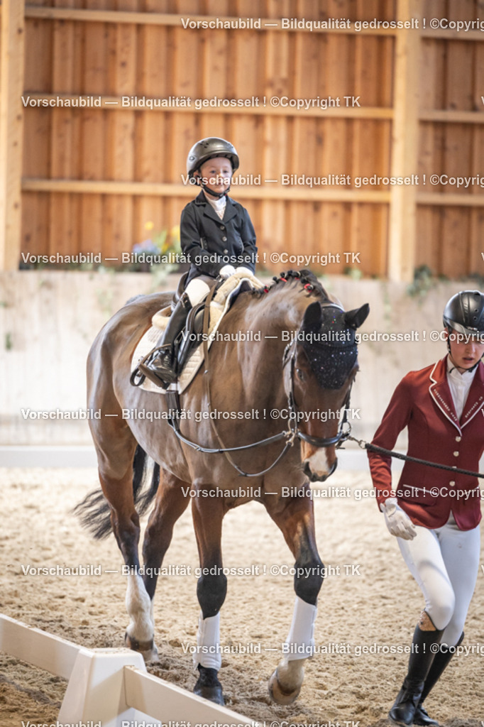 _D5A5276 | Emotionale Pferde- & People-Fotografie rund um Heidelberg, Leimen & Umgebung. Natürliche Fotos von Pferd, Mensch & Familie. Jetzt Termin sichern!