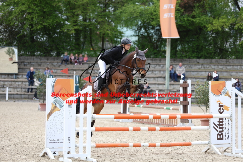 A40A2260 | lmwpictures - Realisiert mit Pictrs.com