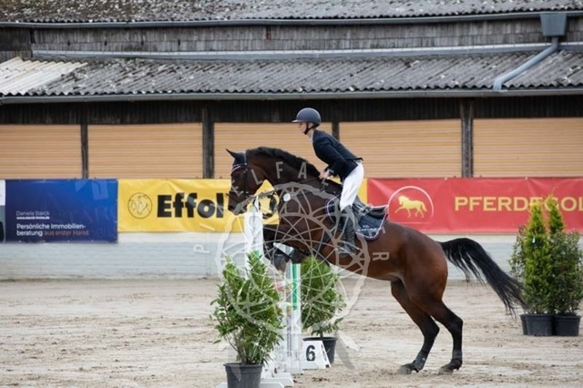 2B4A1584 | pixelfaenger - Realisiert mit Pictrs.com