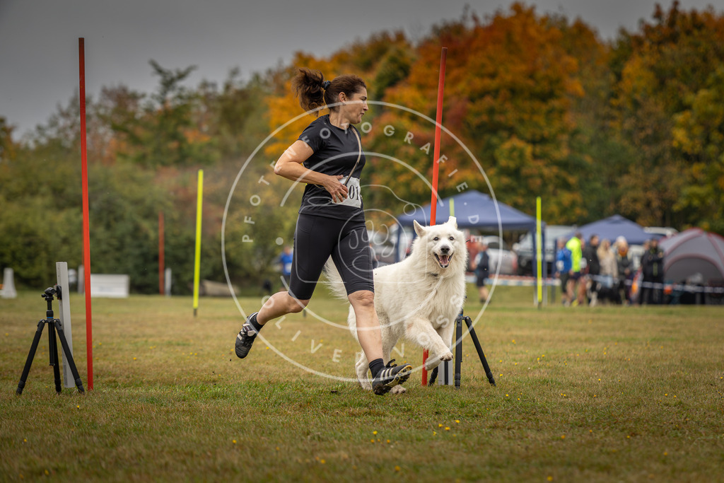 Pfotenfotografie_DV3A1963 | Hundefotografie, Tierfotograf, Pfotenfotografie, Fotoshooting Hund, Hunde Portrait, Hundesport, Hundeportraits, Heideshooting, Hunde, Sportfotograf, Hundefotograf, Turnierhundsport, THS,  - Realisiert mit Pictrs.com