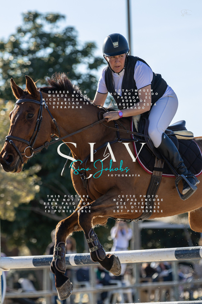 IMG_1926 | s-jay-photography - Realisiert mit Pictrs.com