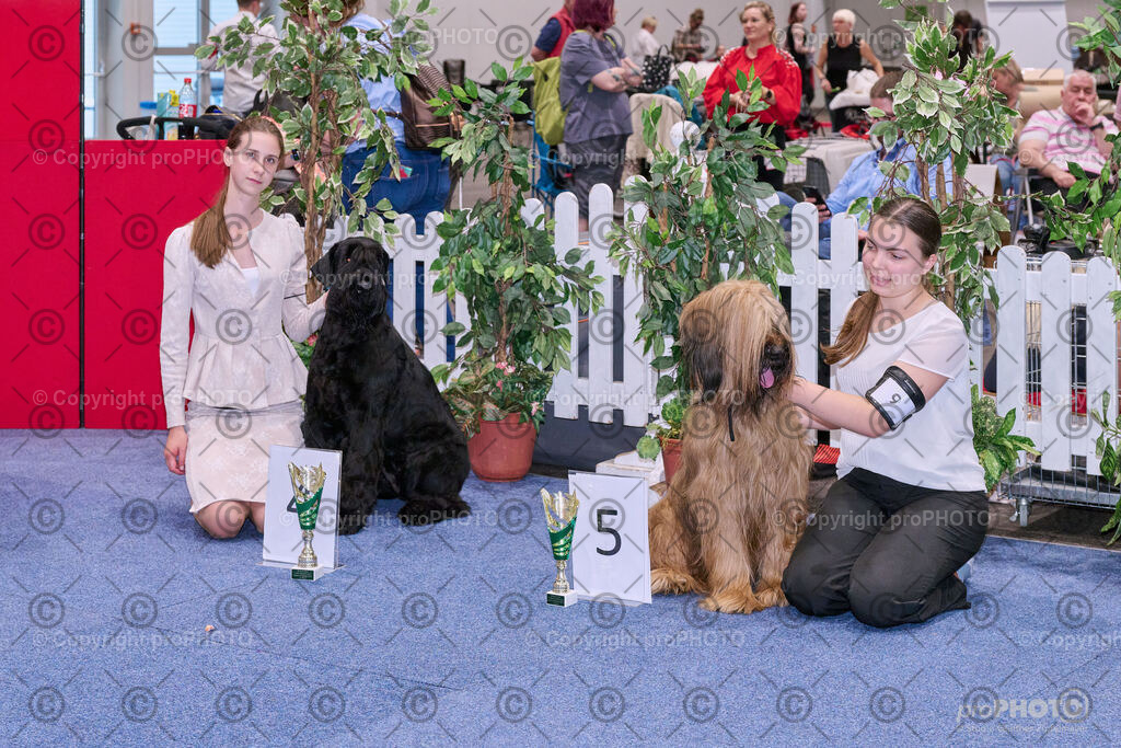 202406_ÖKV-IHA-Tulln24_NZ9_8583 | proPHOTO - Realisiert mit Pictrs.com