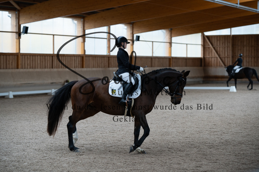 A7V02423 | Pferdefotograf