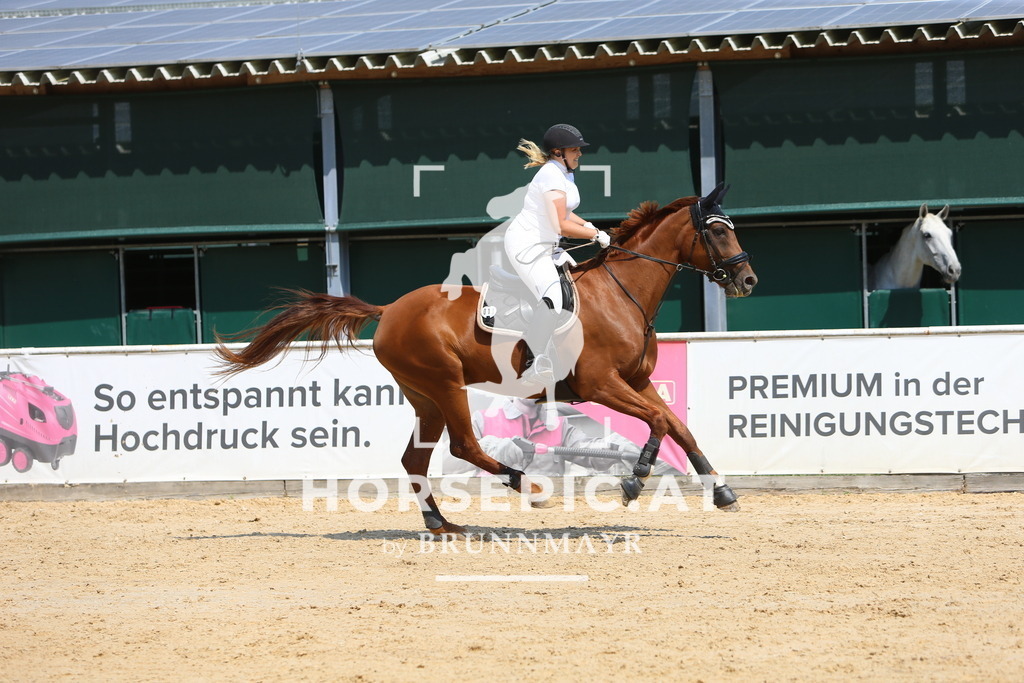 DL2Q1664 | Willkommen bei Brunnmayr - Design & Fotografie – Ihrem Spezialisten für Reitturniere und Pferdeveranstaltungen in Oberösterreich, Salzburg und Bayern! Seit über 17 Jahren sind wir leidenschaftlich dabei.
