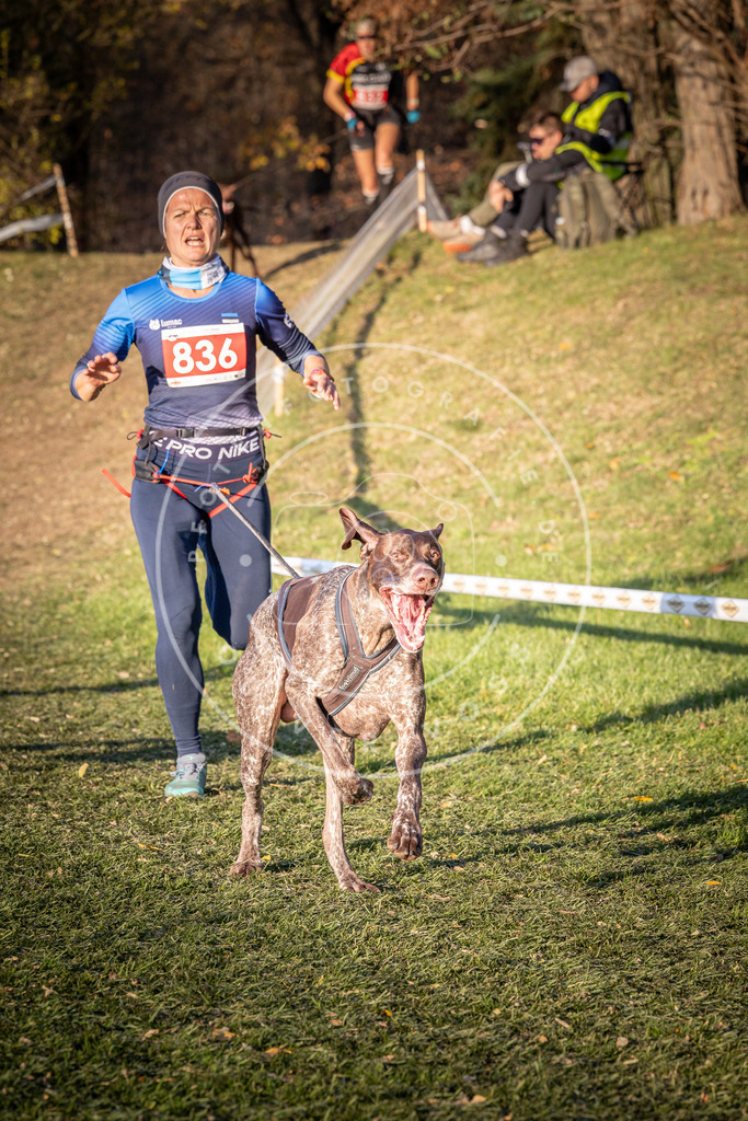 CaniXpix_0L8A0652 | Hundefotografie, Tierfotograf, Pfotenfotografie, Fotoshooting Hund, Hunde Portrait, Hundesport, Hundeportraits, Heideshooting, Hunde, Sportfotograf, Hundefotograf, Turnierhundsport, THS,  - Realisiert mit Pictrs.com