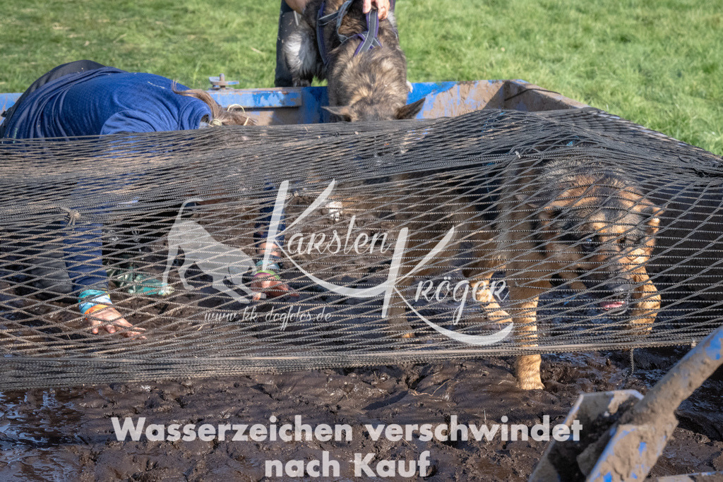 1640_ZZ92719 | kk-dogfotos