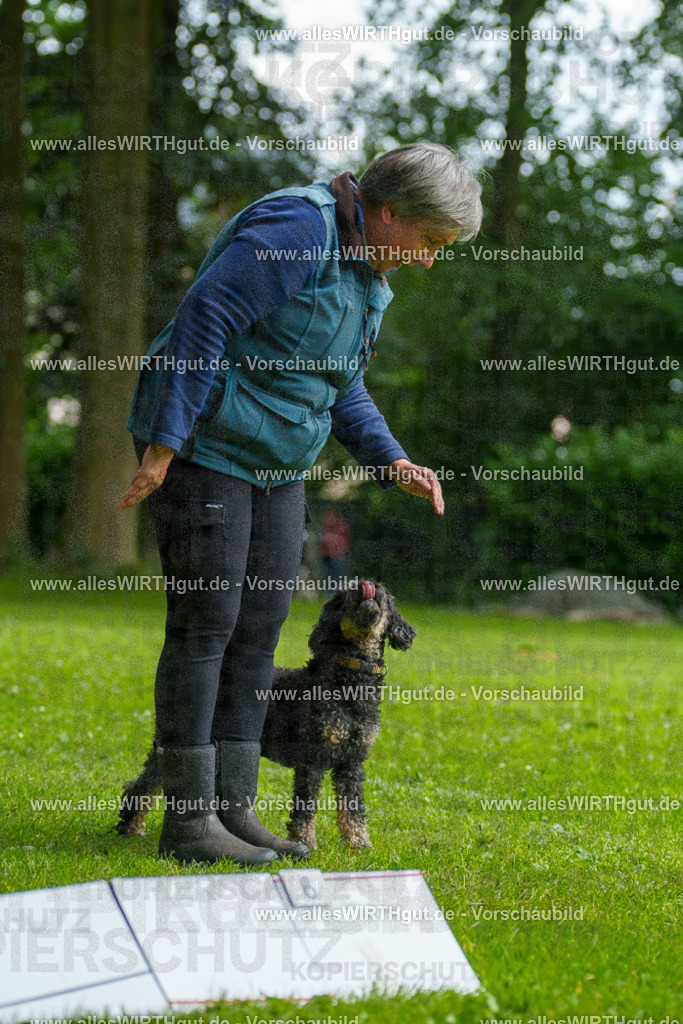 @allesWIRTHgut_Tierfotografie - www.allesWIRTHgut.de - 092750-7R507151 | Professionelle Tierfotografie in Mönchengladbach von Daniel Wirth (allesWIRTHgut). Liebevolle & natürliche Bilder von Hunden & Katzen für unvergessliche Erinnerungen.