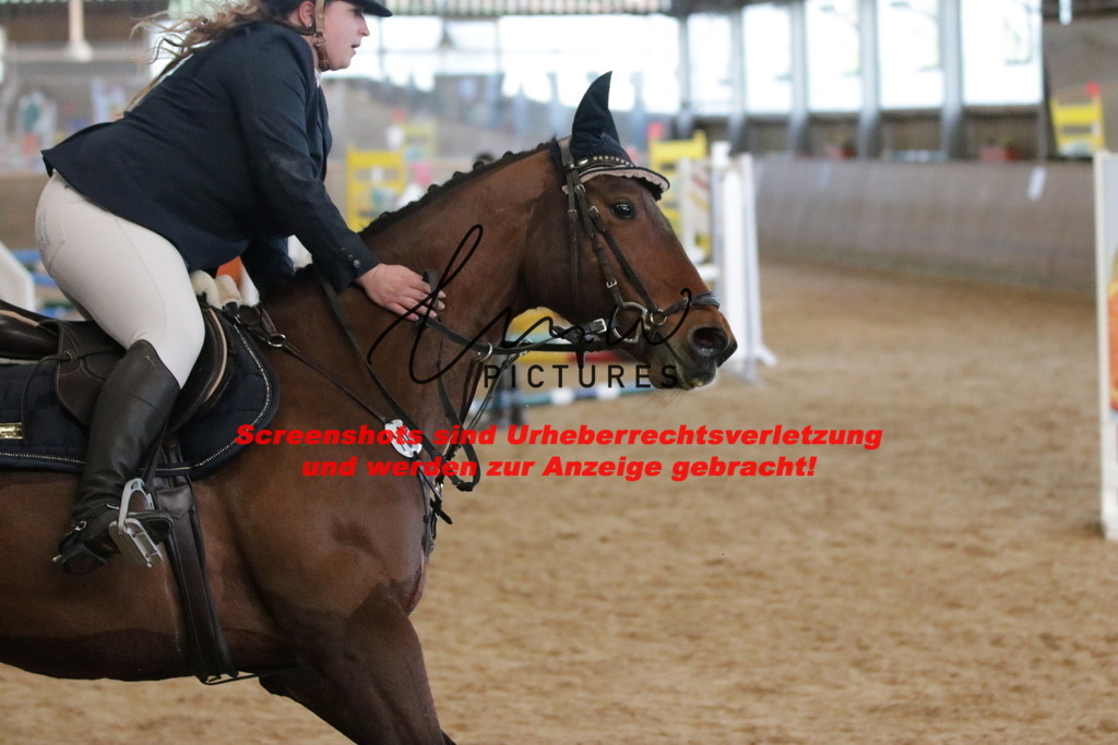 IMG_3342 | lmwpictures - Realisiert mit Pictrs.com