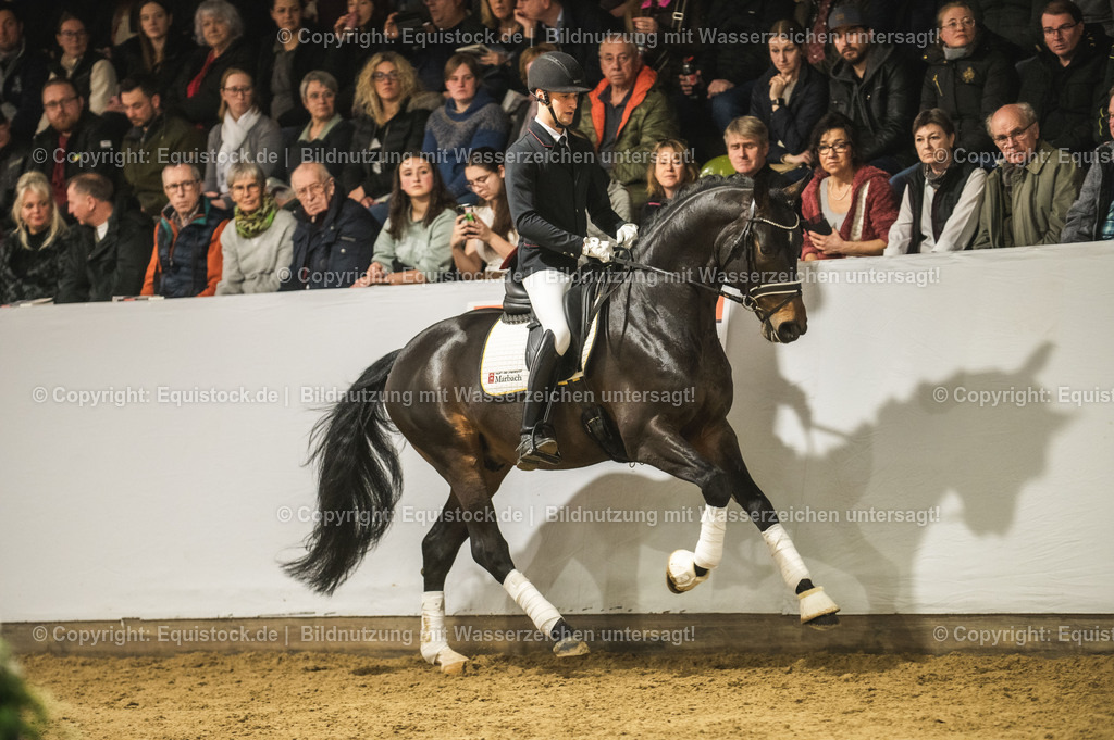 20240302_Hengstvorstellung_Marbach_TOMsPiC_0397-2 | equistock