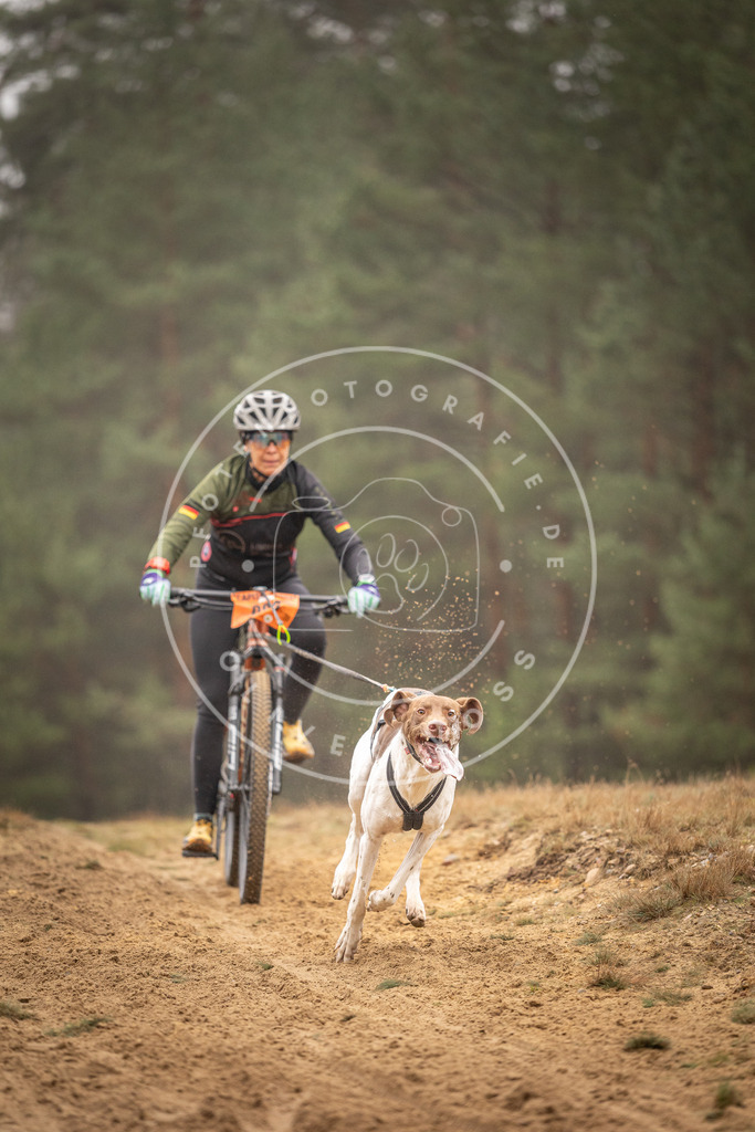 Pfotenfotografie_DV3A3122 | Hundefotografie, Tierfotograf, Pfotenfotografie, Fotoshooting Hund, Hunde Portrait, Hundesport, Hundeportraits, Heideshooting, Hunde, Sportfotograf, Hundefotograf, Turnierhundsport, THS,  - Realisiert mit Pictrs.com
