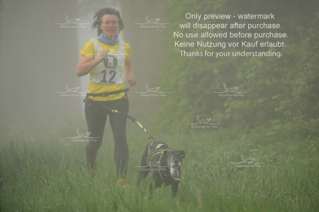 SA_GL2-65 | stephaniefillaphotographie - Realisiert mit Pictrs.com