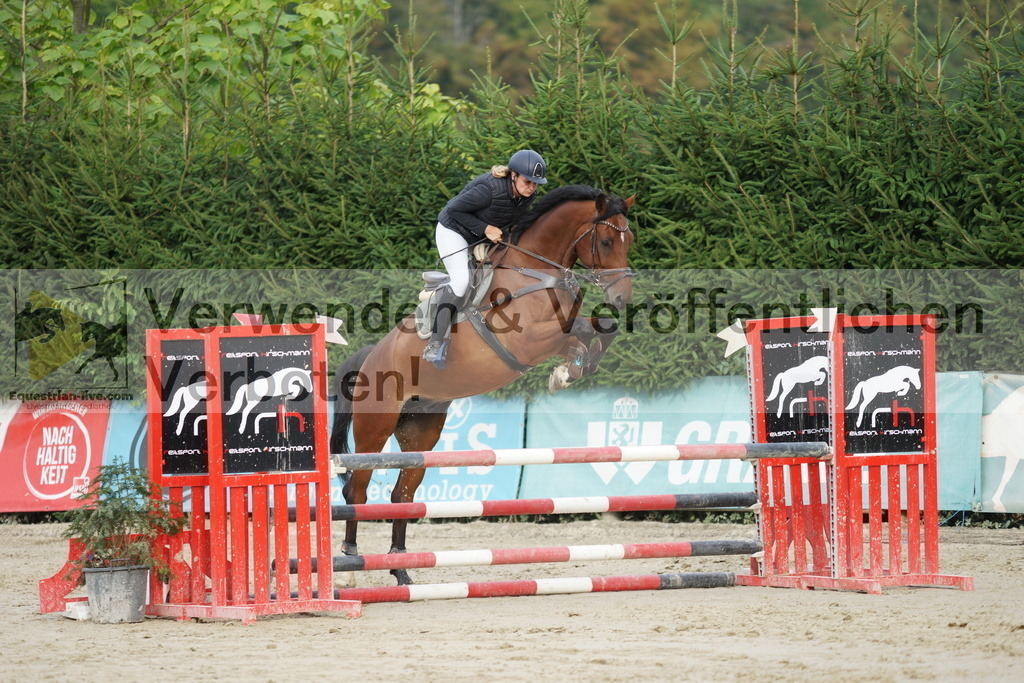 DSC02701 | equestrian-live-com
