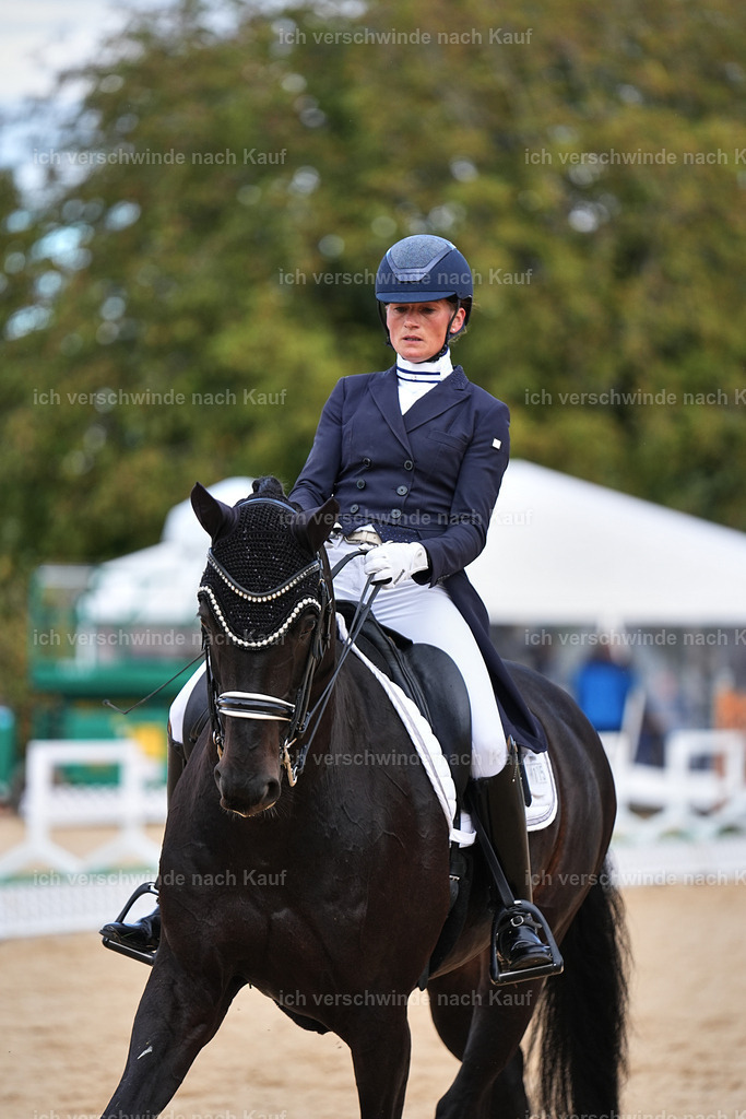 10-115-ST.GEORG SPECIAL -Marixx-3351 | working equitationturnier fotograf videograf stoibphotography marixx film working equitation deutschland reitsport turnierfotografie eventfotografie equestrian events