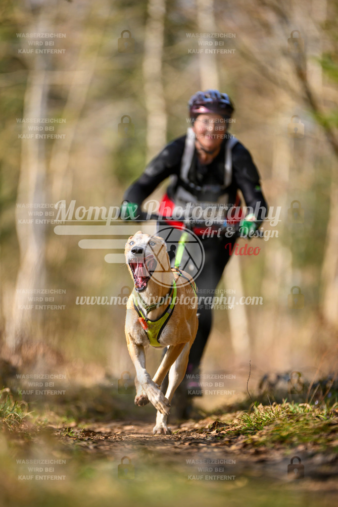 MompixPhotography_6ReiatRennen2026_SO_Scooter-34 | PayLife